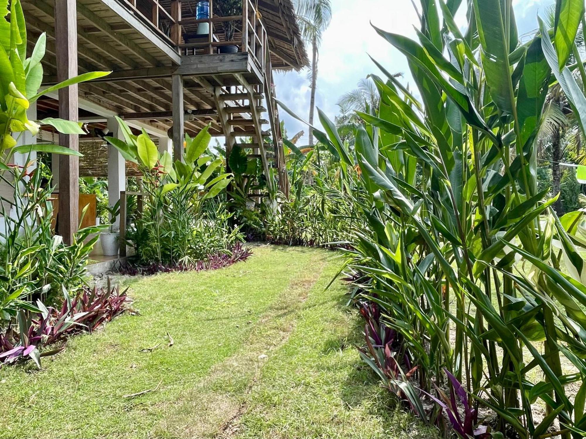 Siargao Sunflower Suites General Luna  Exterior photo